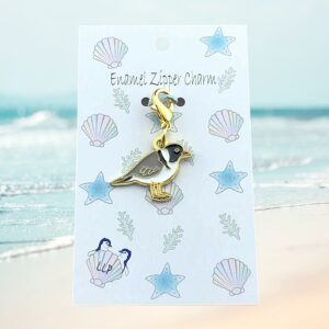 hooded Plover on display card