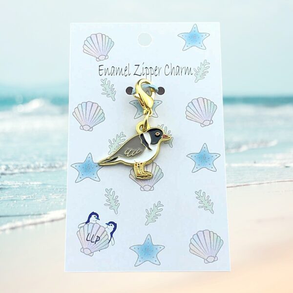 hooded Plover on display card