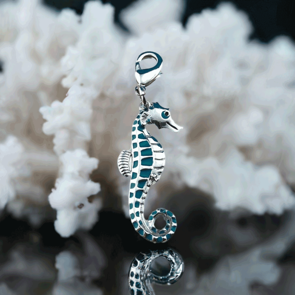 seahorse-charm-coral-display