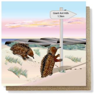 echidnas in search og giant anthill