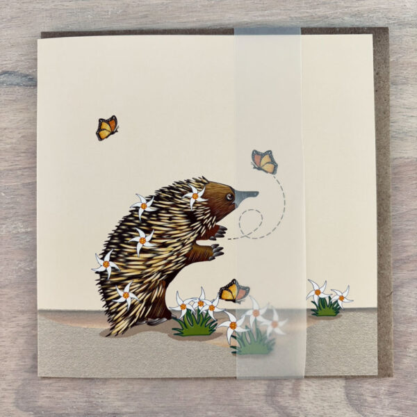 catching butterflies' card with belly band packaging