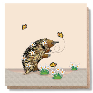 Echidna Catching Butterflies Card
