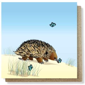 chasing butterflies card