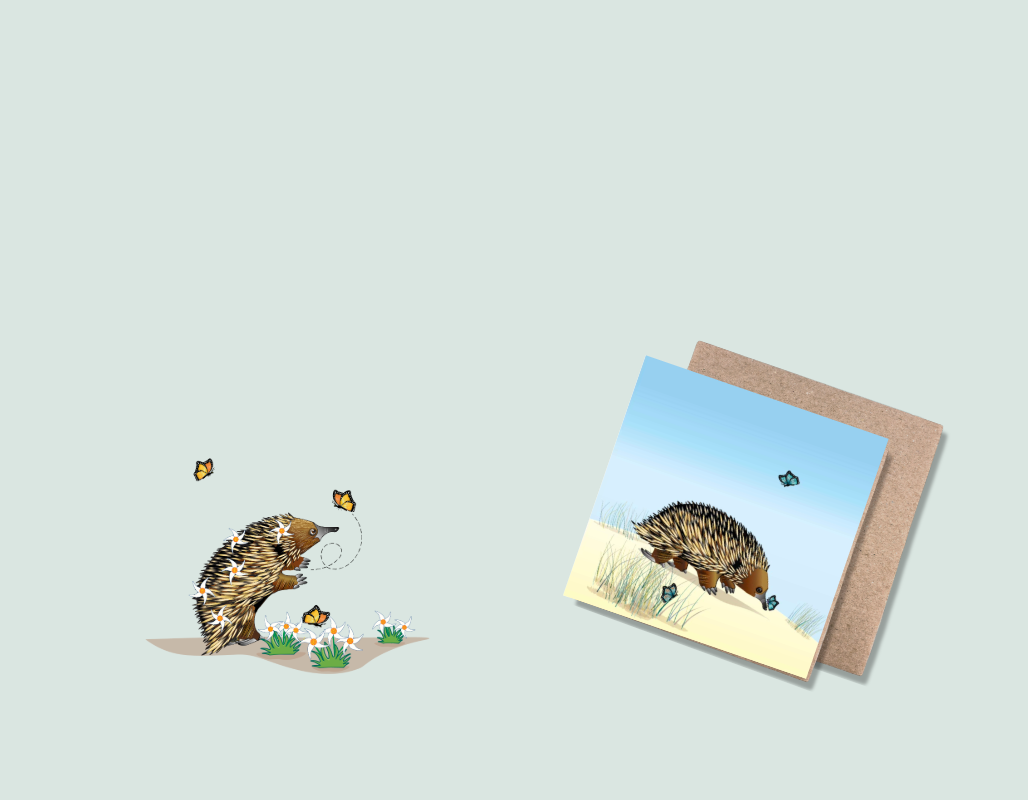 homepage card slider