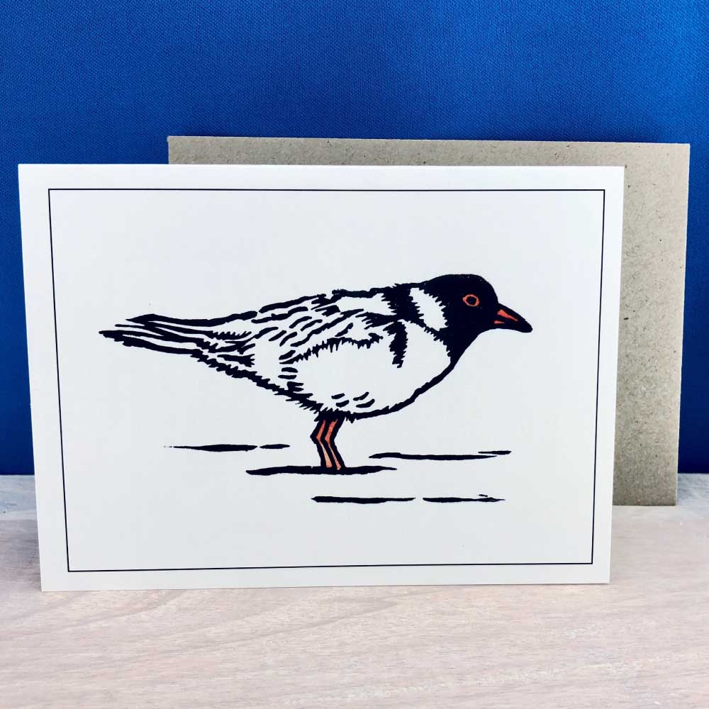 Lone Hooded Plover Greeting Card – Lucky Little Penguins