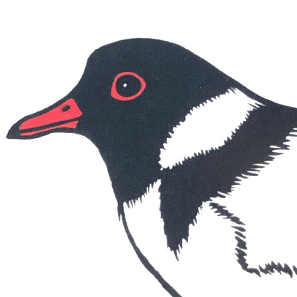 beachcomber card detail