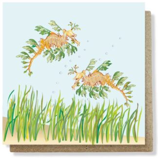 Leafy seadragons card