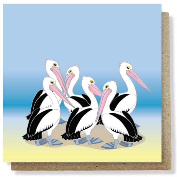 pelican huddle