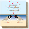 hooded plover card