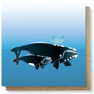 Southern Right Whale