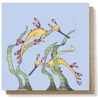 weedy seadragons