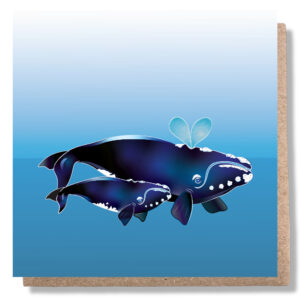 southern-right-whale-with-calf