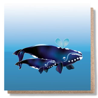 southern-right-whale-with-calf