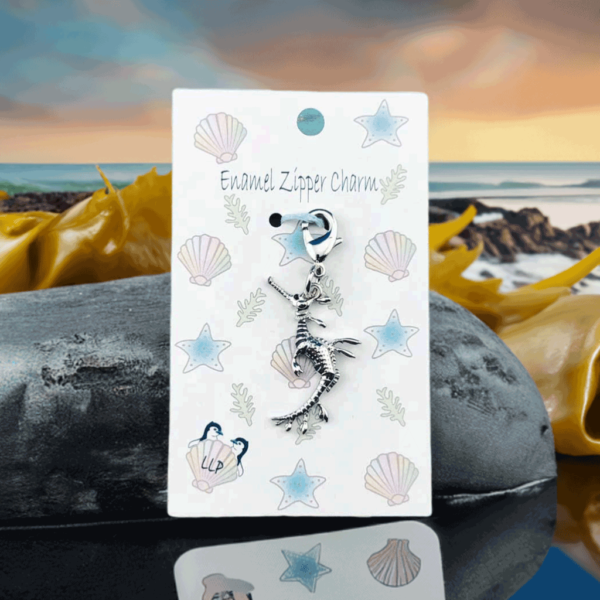 seadragon-beach-display-card