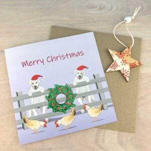 Maremma sheepdogs in training Christmas card