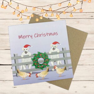 Maremma sheepdogs Christmas card