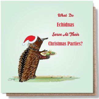 Echidna Christmas Party Greeting Card