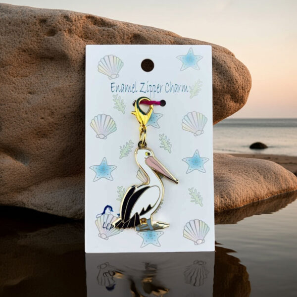 Pelican-charm-beach-rocks