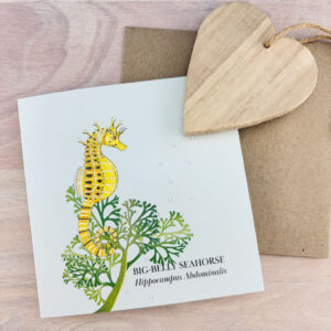 Big-belly Seahorse Card - Image 5