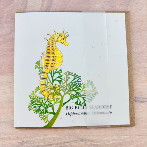 seahorse card with belly band packaging