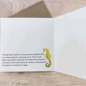 Big-belly Seahorse Card - Image 3