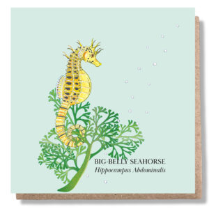 Big-belly Seahorse Card