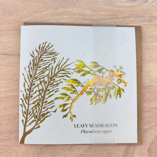 Leafy seadragon card with belly band