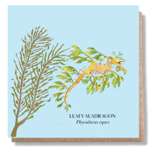 Leafy Seadragon Greeting Card