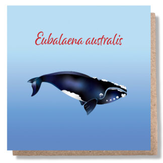 Southern-Right-Whale-Greeting-card