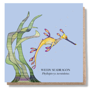 Weedy Seadragon Greeting Card