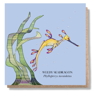 Weedy Seadragon Greeting Card