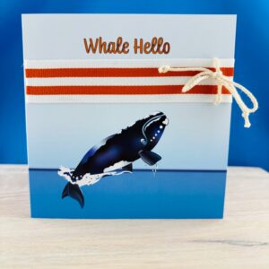 Southern Right Whale Hello