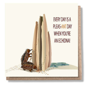 Echidnas plundering a giant ant hill.