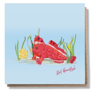 Red Handfish Card