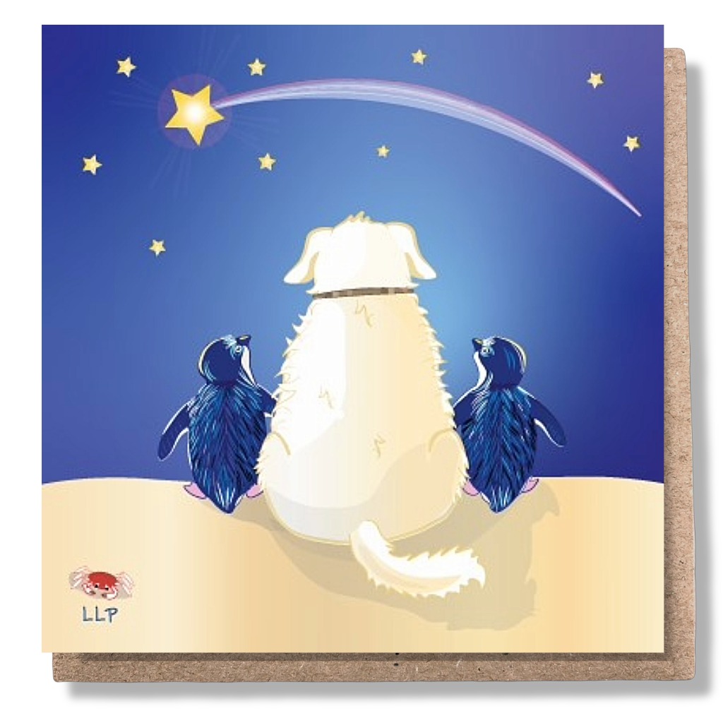 Make a Wish large greeting card